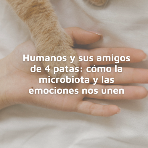 Humanos y sus amigos de 4 patas