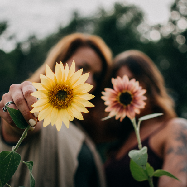 Curso perimenopausia y menopausia