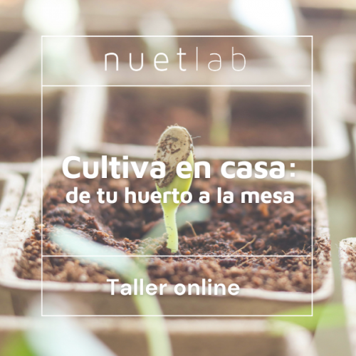 Taller online: cultiva en casa